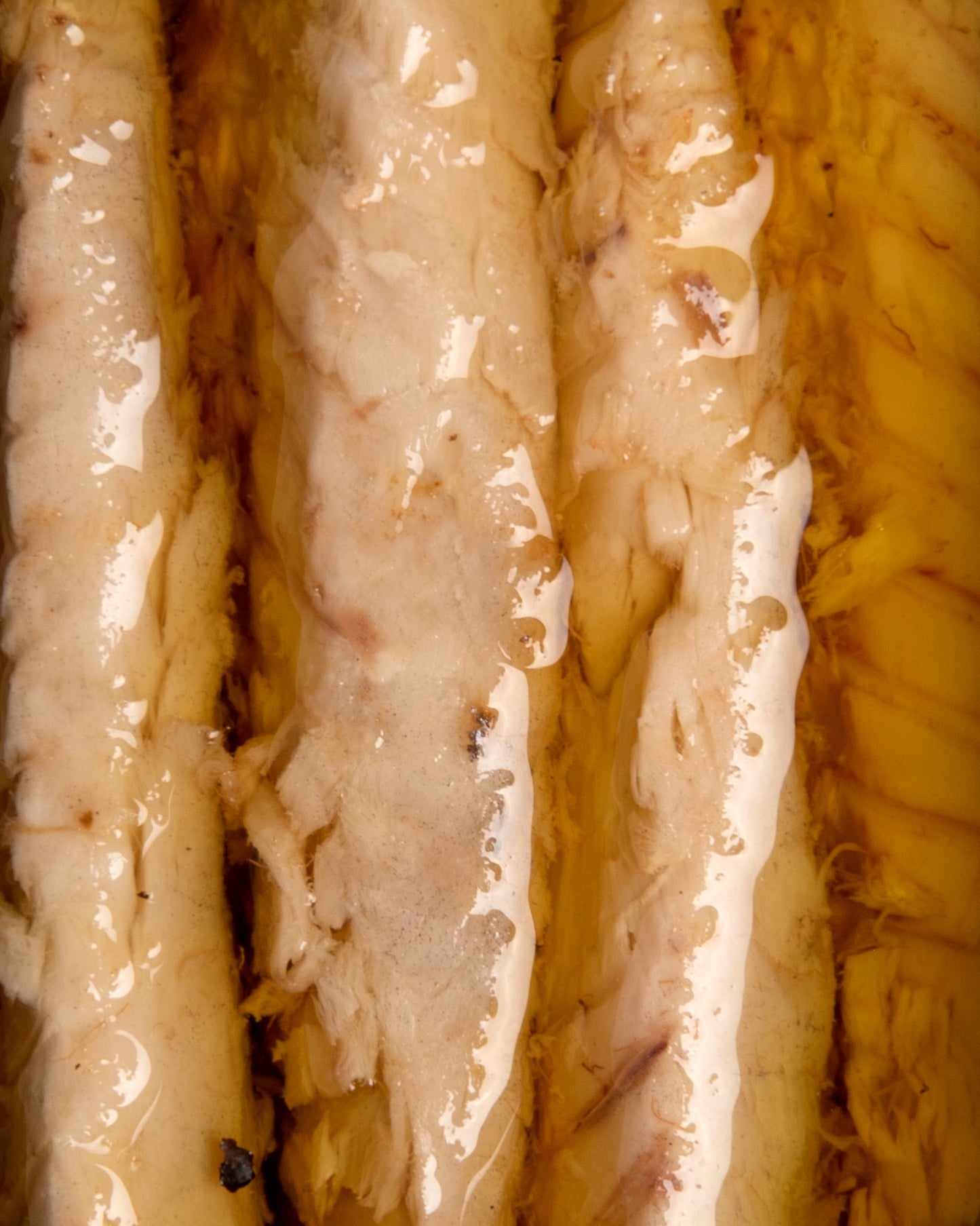 Makrelenfilets in Bio-Olivenöl und Piri-Piri