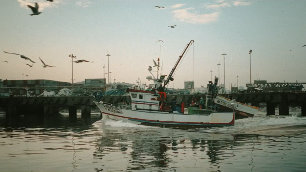 Load video: 100 Misterios Promotional Video 