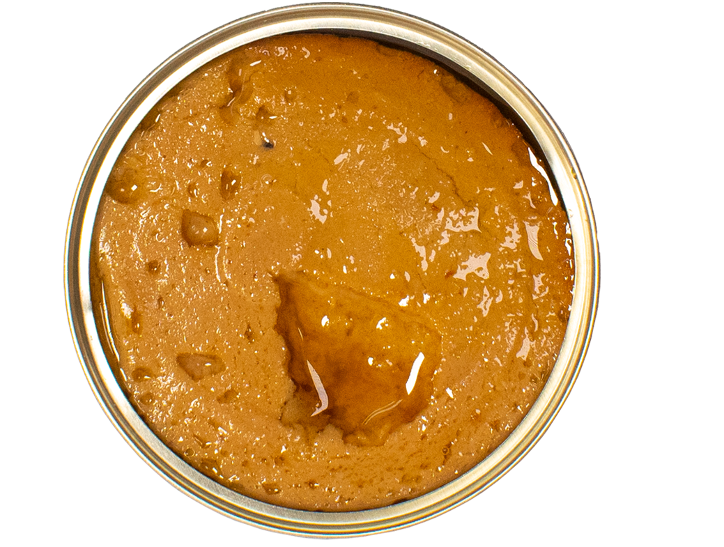 Thunfischpastete in Escabeche-Soße